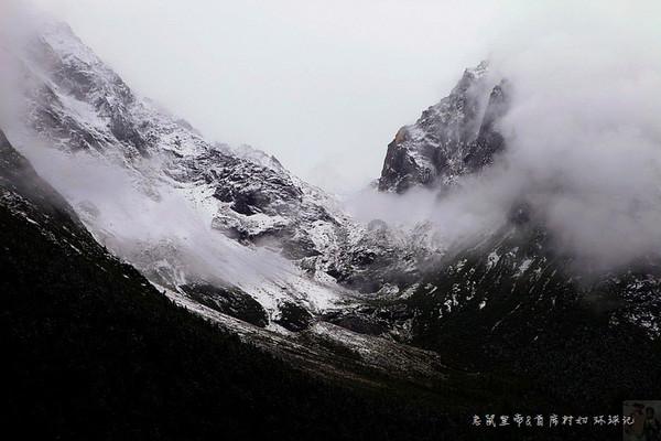 A为了适应仰泳的状态 B为了身体更加健康 C为了弥补内耳的平衡器官缺陷 D为了让自己看起来像快死了?蜗牛问答,专业解答您的疑问